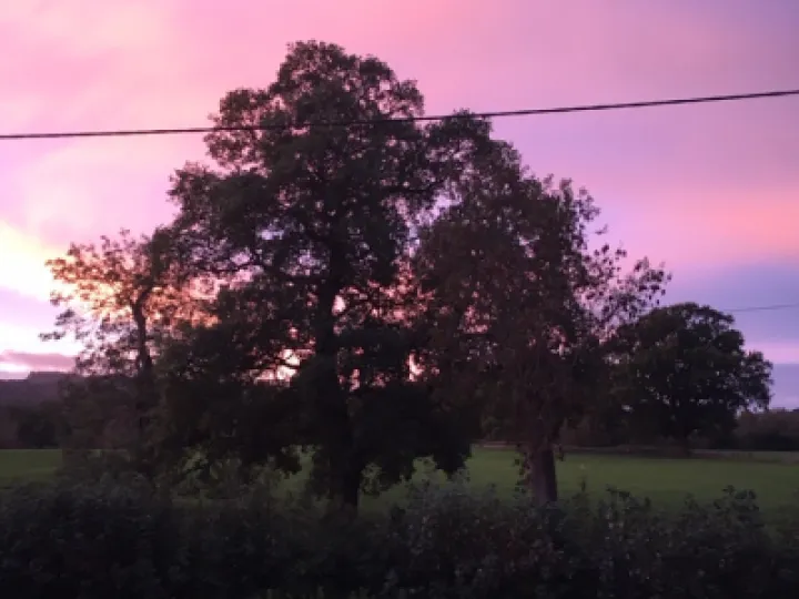 Dawn 1