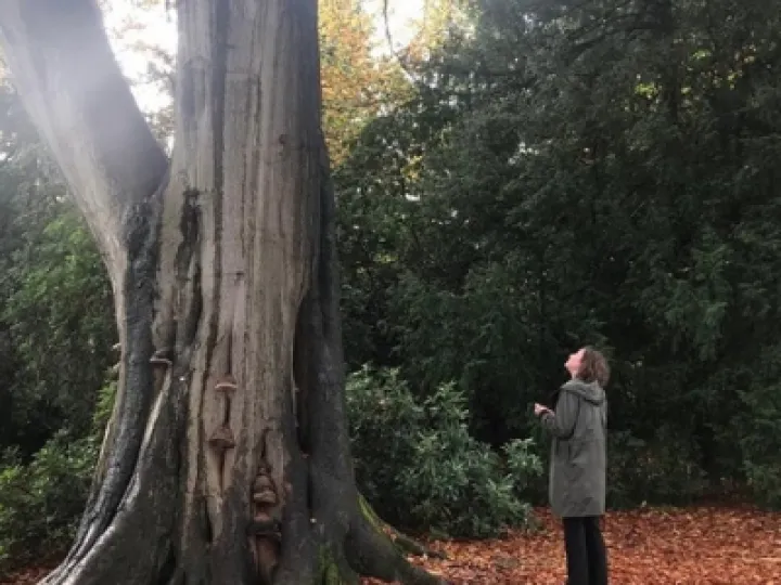 Forrest Bathing at Tatton