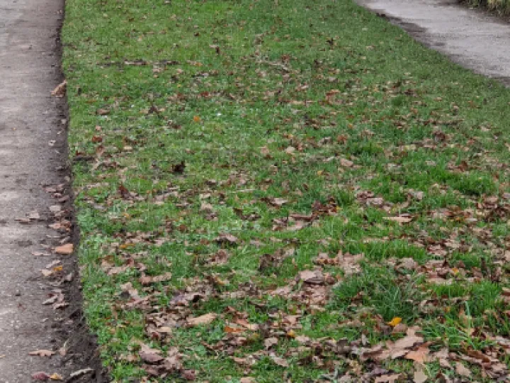 Path 2