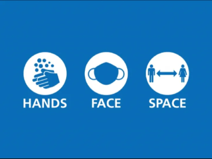 Hands