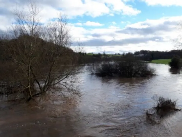 river weaver