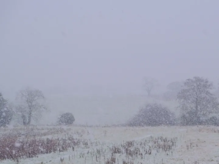 Snow.....