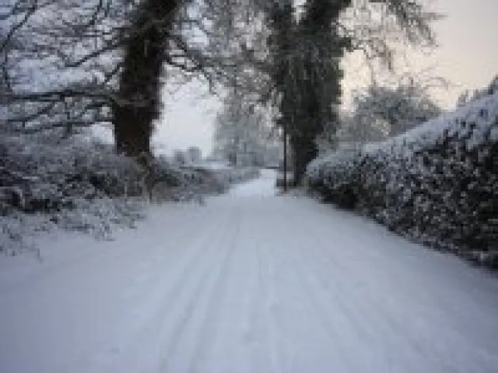Wood Orchard Lane – December 2010