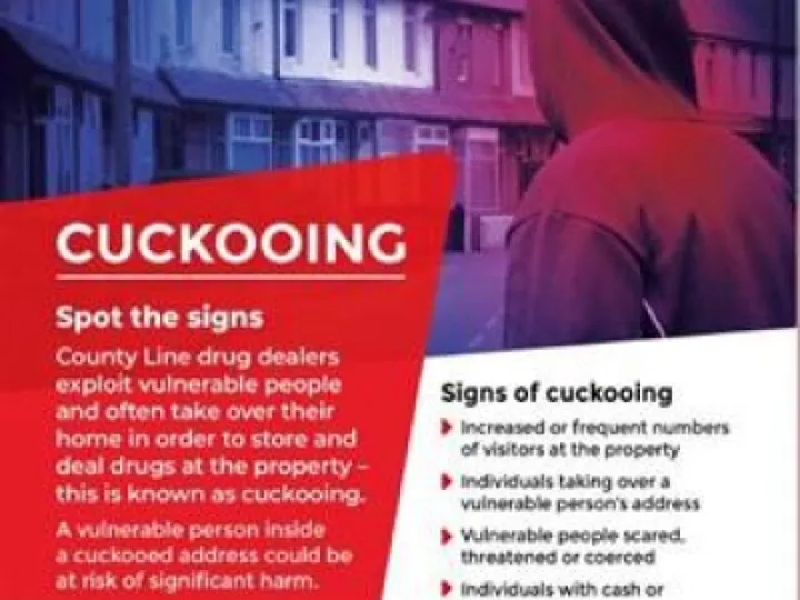 cuckooing message