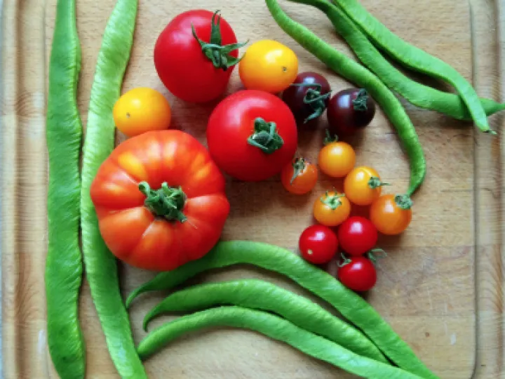 ACER Vegetables