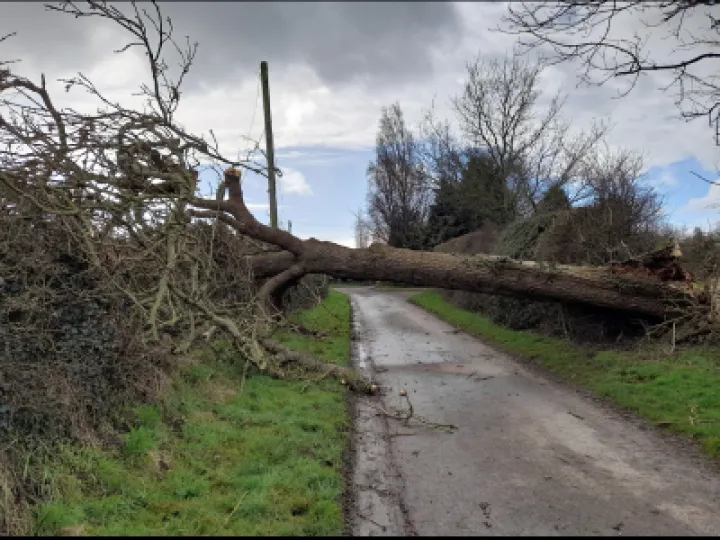 Storm damage