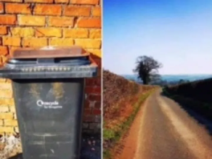 Bin