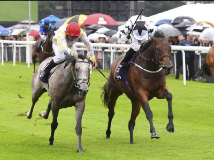 chester winner