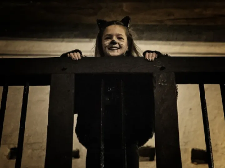 Halloween At Tatton Park Old Hall Low Res (1)