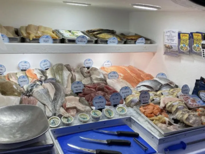 fish 2