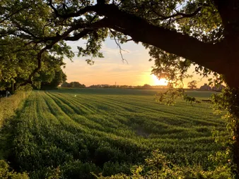 Walton sunset
