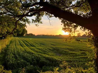 Walton Sunset