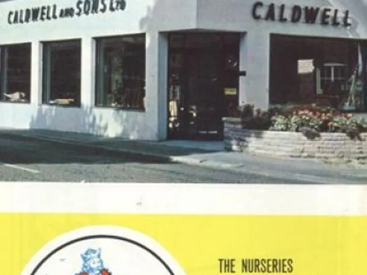 Caldwell L98219