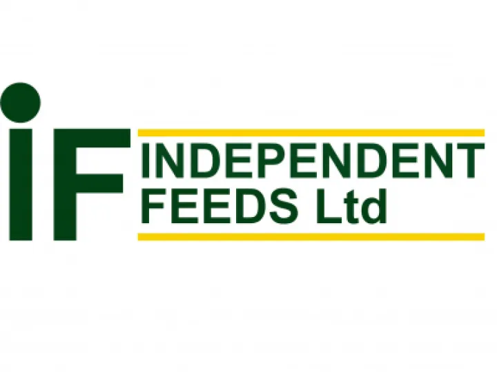 if logo
