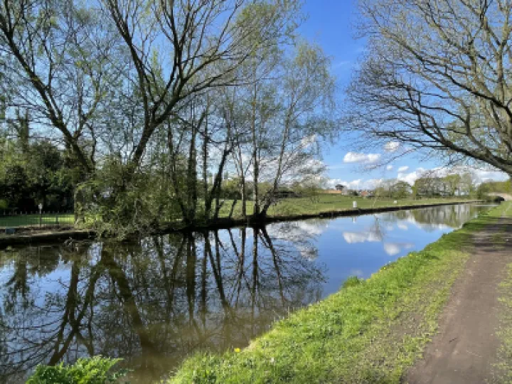 Reflections