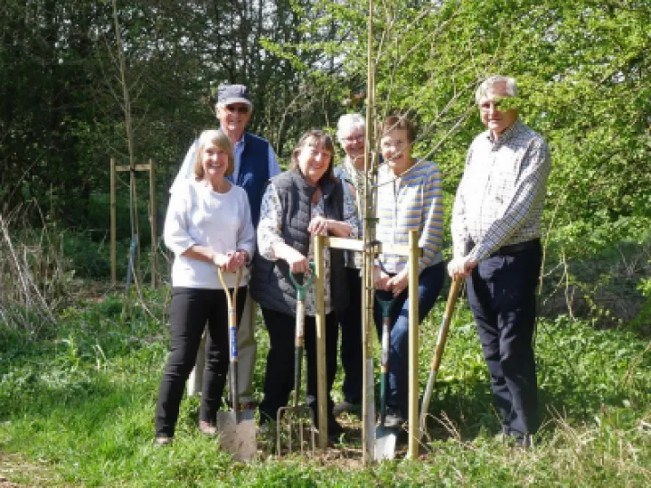 u3a tree plant