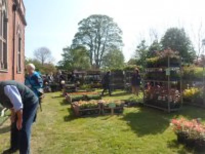 2014 Plant Sale