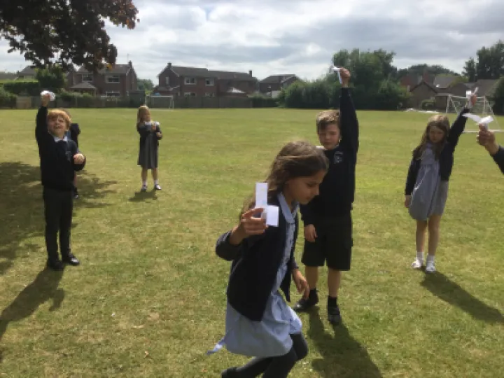 Seed dispersal 4