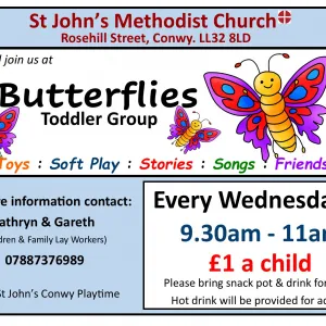 Butterflies Toddler Group Poster