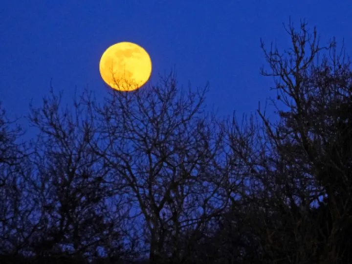 #R Moonrise F2847
