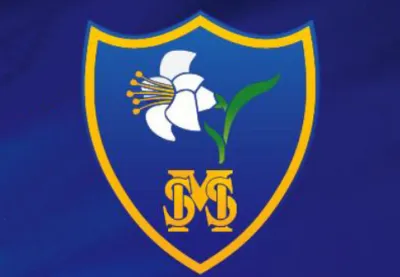 HStM School logo