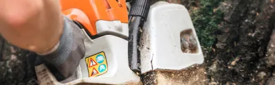 Tree Work