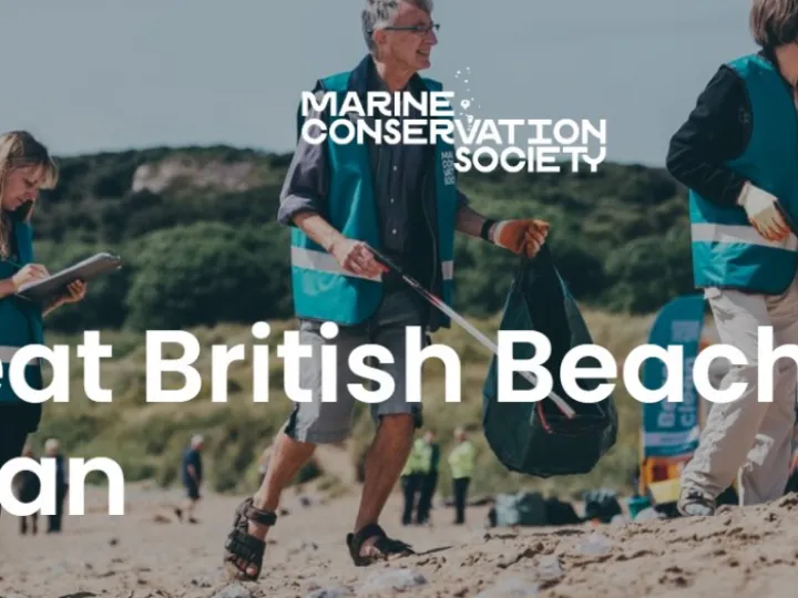 GB Beach