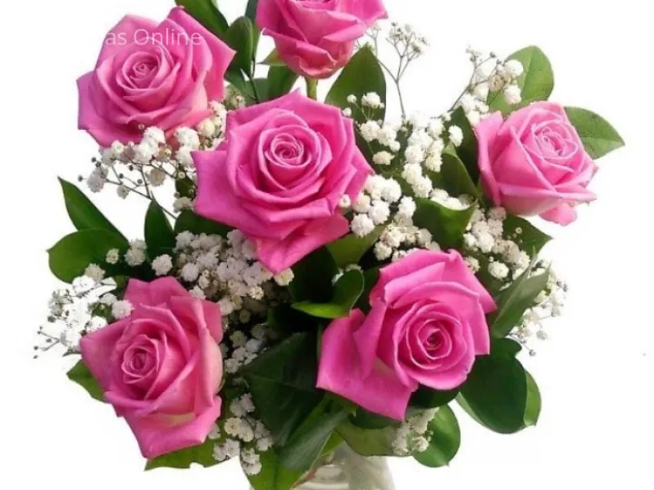 Roses