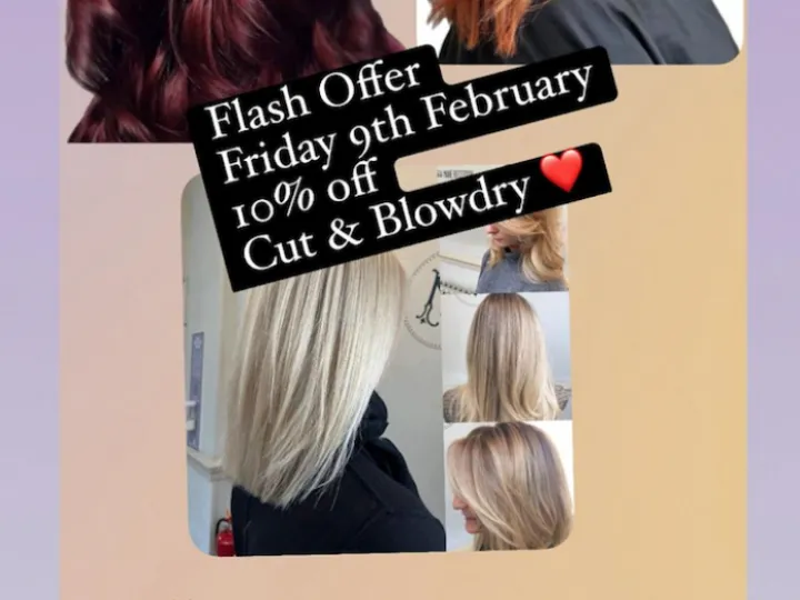 Braids Offers
