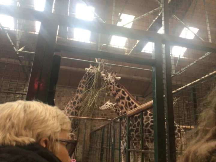 Zoo