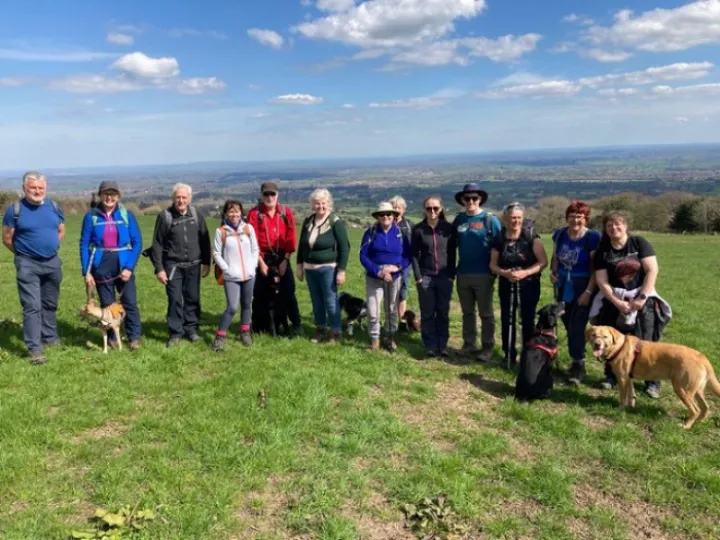 ars walk