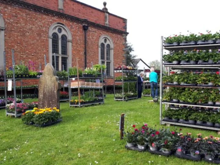 Plant Sale Setup