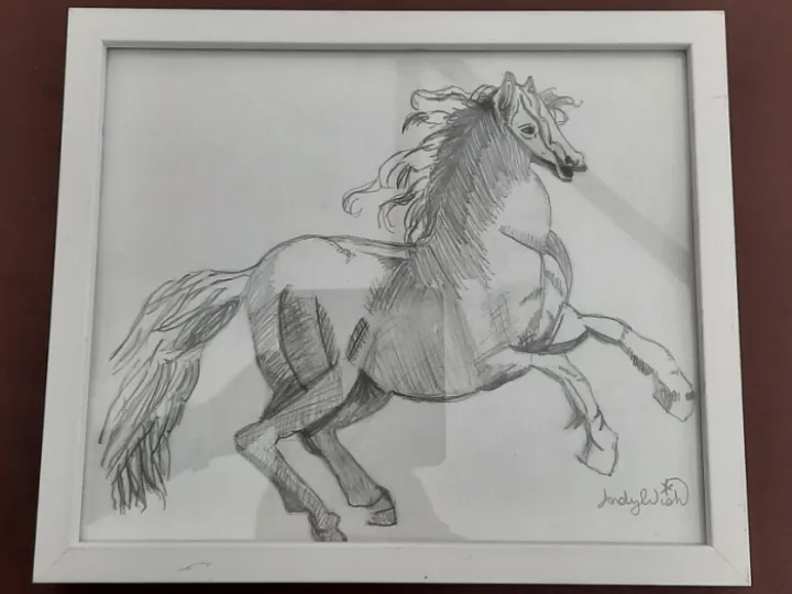 The Horse