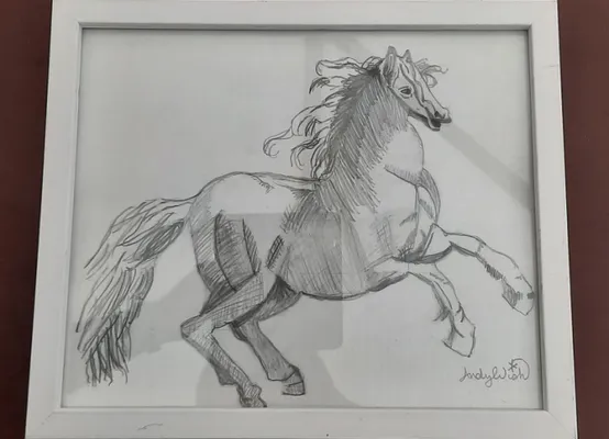 The Horse