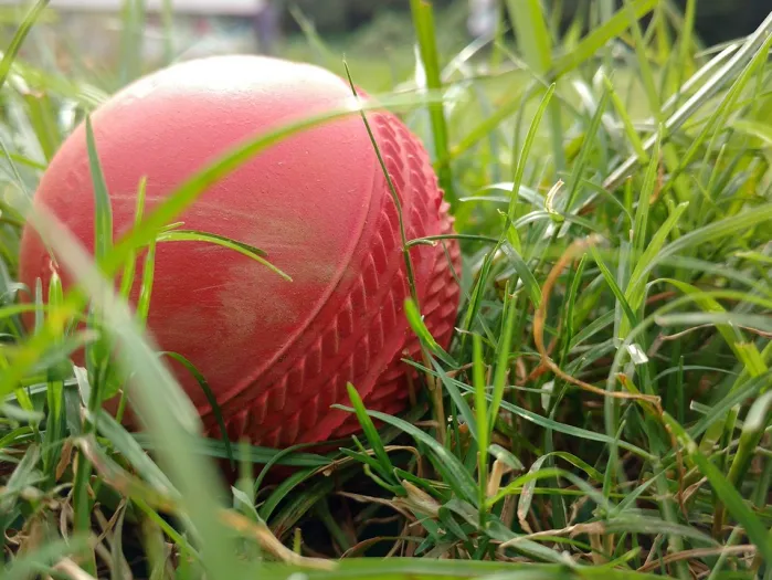 Cricket, ball, grass