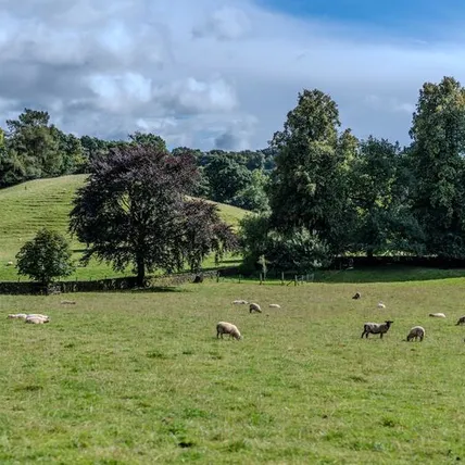 Mellor Knowl Farm-56