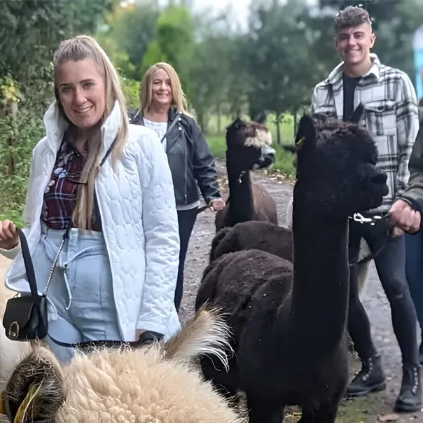 Alpaca Walk Talk 6