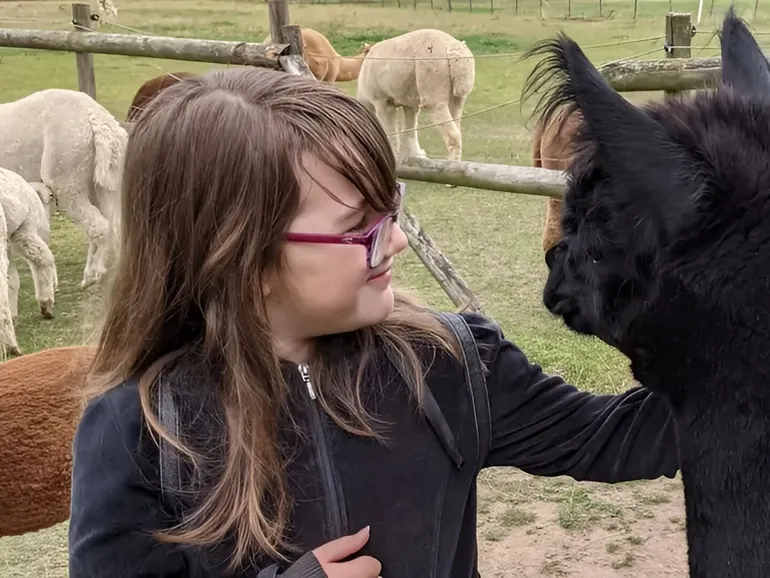 Alpaca Walk Talk 7