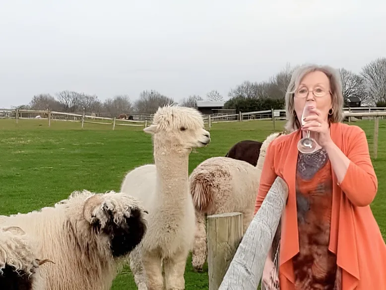 Alpaca Birthday Party 1