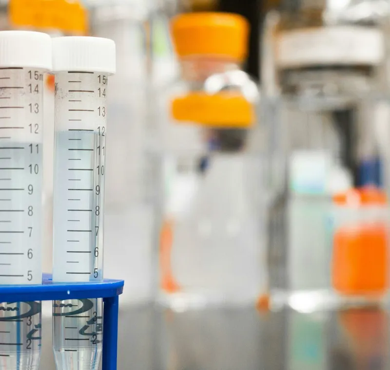 Two clear test tubes in a laboratory, essential for scientific research.