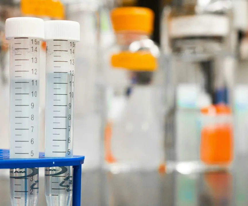 Two clear test tubes in a laboratory, essential for scientific research.