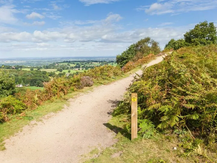 Bickerton