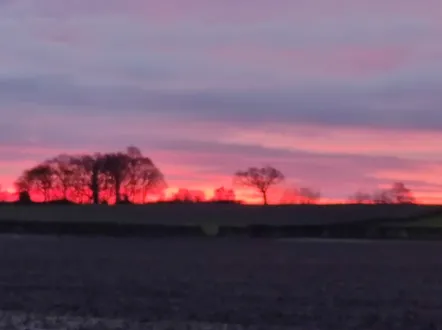 Hatton Skyline 1