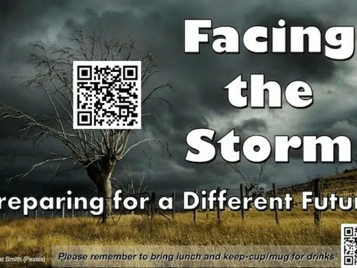 Facing The Storm