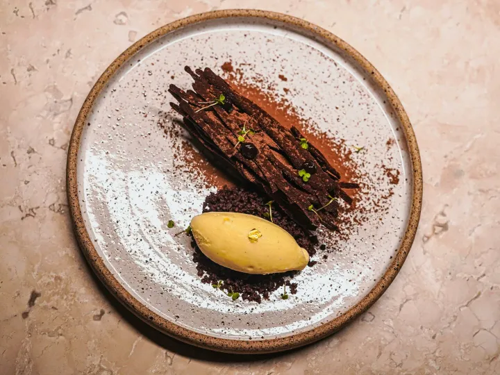 Gourmet dessert featuring chocolate bark and ice cream elegantly plated.