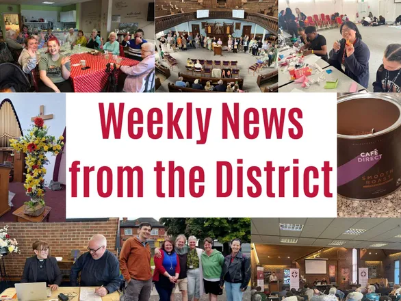 Weekly News (1)