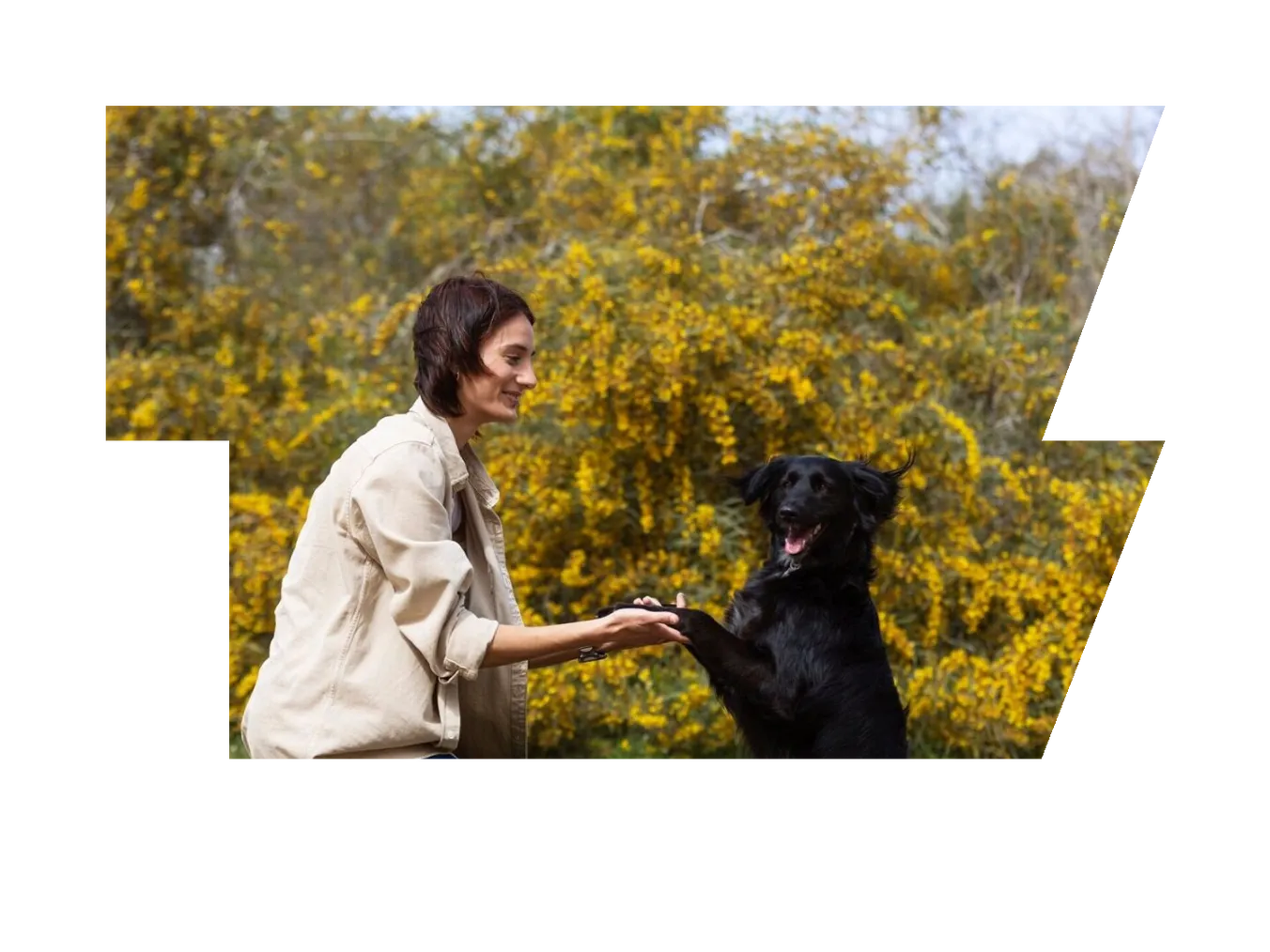 Dog trainer interacting with their pet