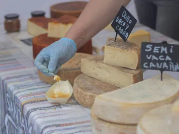 A selection of artisanal cheeses with tasting