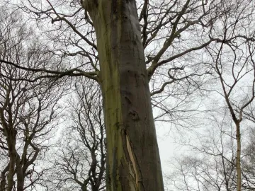 20260327_111455934_ios