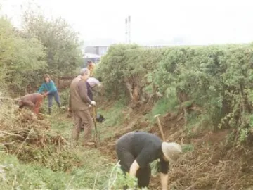Footpath Clearing behind St Andrews Scan_20170812